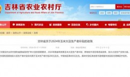 湖北农信社最新爆料消息,揭秘改革动向与未来发展蓝图