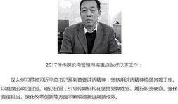 丹东口音最新爆料,方言魅力再现，地域特色引热议