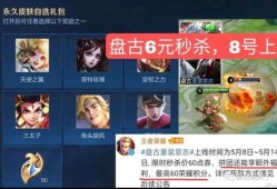 六元皮最新爆料,揭秘神秘事件背后的惊人真相