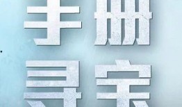 ss8普通手册最新爆料,深度解析神秘网络监控系统的秘密