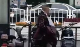 盐城金鹰爆料事件最新,真相揭秘，舆论漩涡中的企业危机