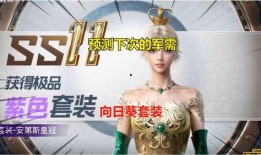 和平精英ss30新军需最新爆料,和平精英军火库再添神秘利器