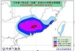 台风爆料最新情况,揭秘‘台风爆料最新情况！”