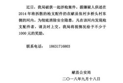 沧州高铁爆料最新消息,揭秘未来交通枢纽新蓝图