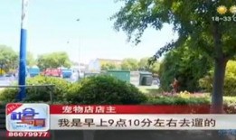 石家庄花园爆料案件最新,揭秘背后惊人真相