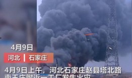 魏县最新事件爆料视频播放,视频爆料揭示惊人真相