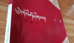 爆料长春探店视频最新版,网红美食地图再升级，独家揭秘隐藏美味！